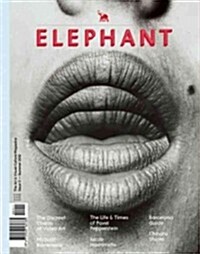 Elephant #11: The Arts & Visual Culture Magazine (Paperback)