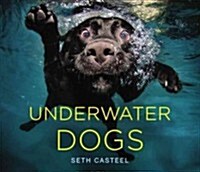 Underwater Dogs (Hardcover)