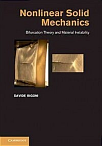 Nonlinear Solid Mechanics : Bifurcation Theory and Material Instability (Hardcover)