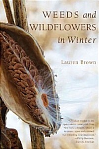 Weeds and Wildflowers in Winter (Paperback)