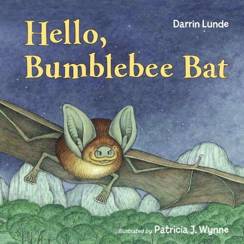 Hello, Bumblebee Bat (Hardcover)