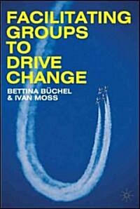 Facilitating Groups to Drive Change (Hardcover)