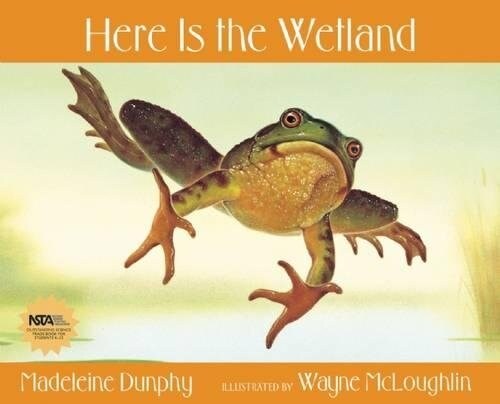 Here Is the Wetland (Paperback)