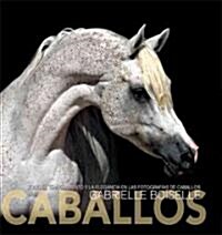 Caballos/ Horses (Hardcover, Translation, Illustrated)