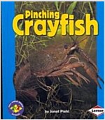Pinching Crayfish (Paperback)
