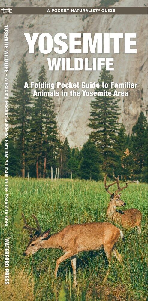 Yosemite Wildlife: A Folding Pocket Guide to Familiar Animals in the Yosemite Area (Hardcover)