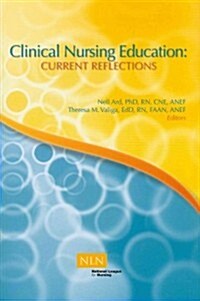 Clinical Nursing Education: Current Reflections (Paperback)