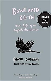 Bowland Beth : The Life of an English Hen Harrier (Paperback)