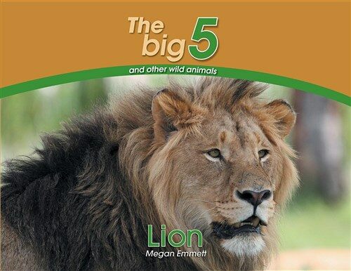 Lion: The Big 5 and Other Wild Animals (Paperback)