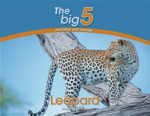 Leopard: The Big 5 and Other Wild Animals (Paperback)