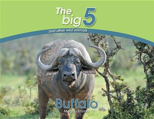Buffalo: The Big 5 and Other Wild Animals (Paperback)