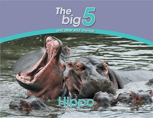 Hippo: The Big 5 and Other Wild Animals (Paperback)