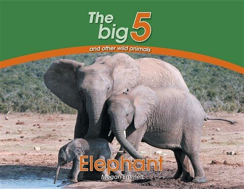 Elephant: The Big 5 and Other Wild Animals (Paperback)