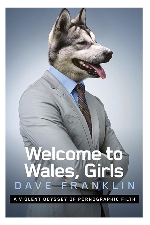 Welcome to Wales, Girls: A Violent Odyssey of Pornographic Filth (Paperback)