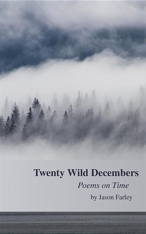 Twenty Wild Decembers: Poems on Time (Paperback)