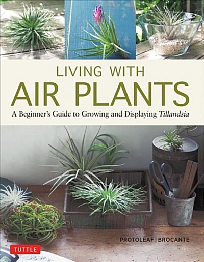 Living with Air Plants: A Beginners Guide to Growing and Displaying Tillandsia (Hardcover)