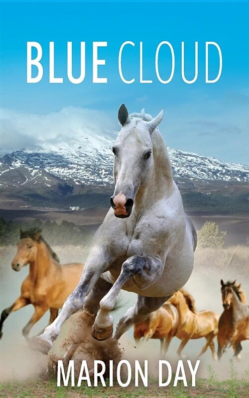 Blue Cloud (Paperback)