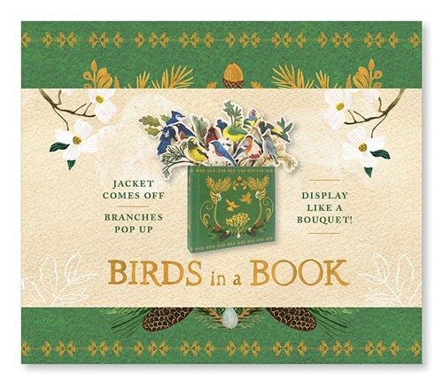 Birds in a Book (Uplifting Editions): Jacket Comes Off. Branches Pop Up. Display Like a Bouquet! (Hardcover)
