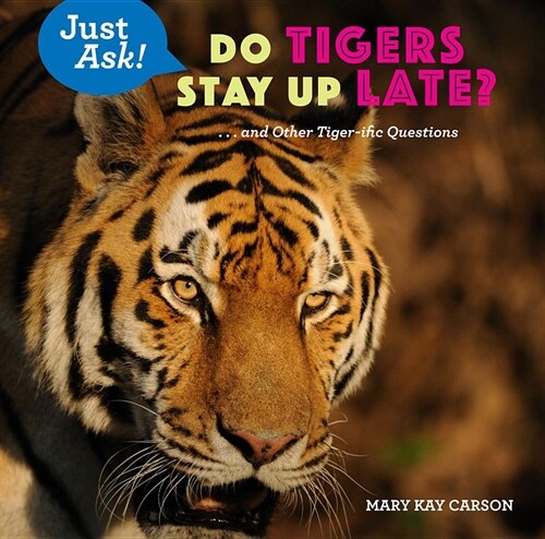 Do Tigers Stay Up Late?: . . . and Other Tiger-Ific Questions (Hardcover)