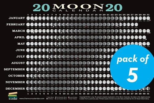 2020 Moon Calendar Card (5 Pack): Lunar Phases, Eclipses, and More! (Other)