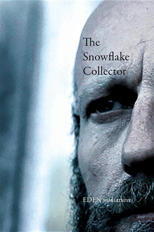 The Snowflake Collector (Paperback)