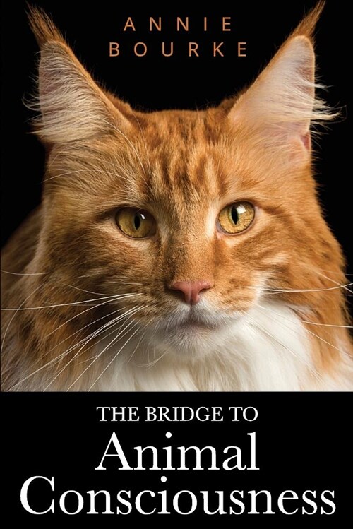 The Bridge to Animal Consciousness (Paperback)