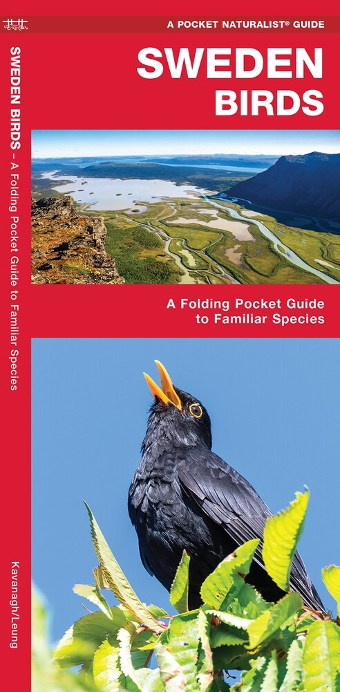Sweden Birds: A Folding Pocket Guide to Familiar Species (Other)