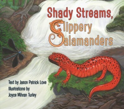 Shady Streams, Slippery Salamanders (Hardcover)