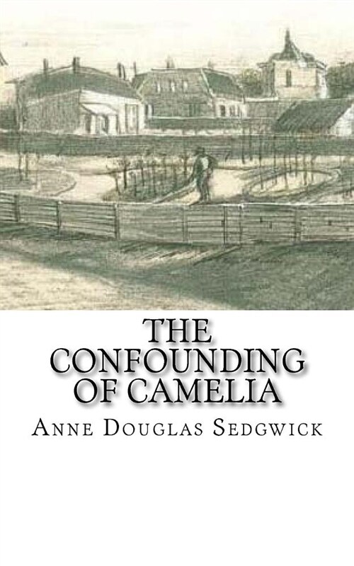 The Confounding of Camelia (Paperback)