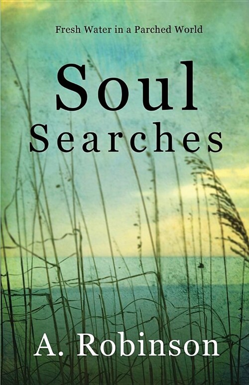 Soul Searches: Fresh Water in a Parched World (Paperback)