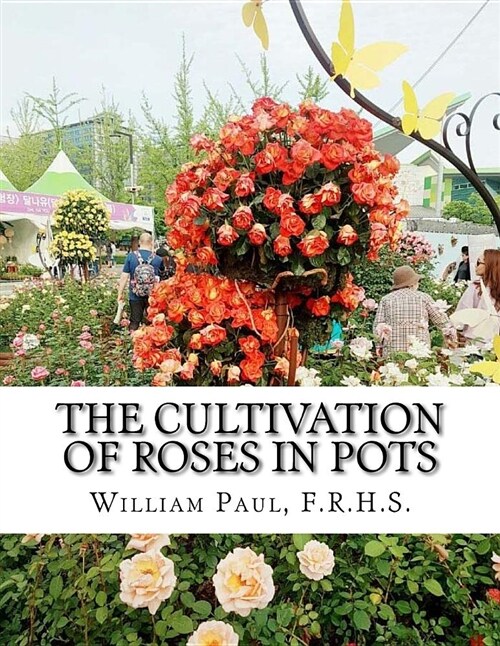 The Cultivation of Roses in Pots: Or; Growing Roses in Containers (Paperback)