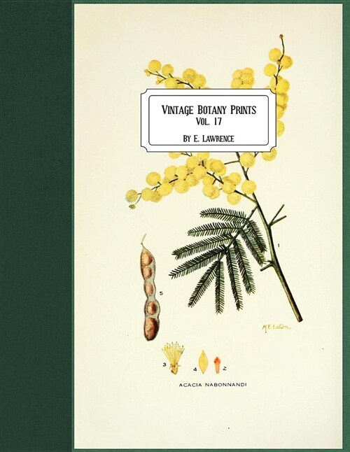 Vintage Botany Prints: Vol. 17 (Paperback)