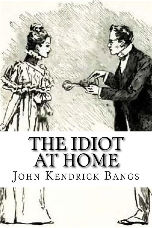 The Idiot at Home (Paperback)