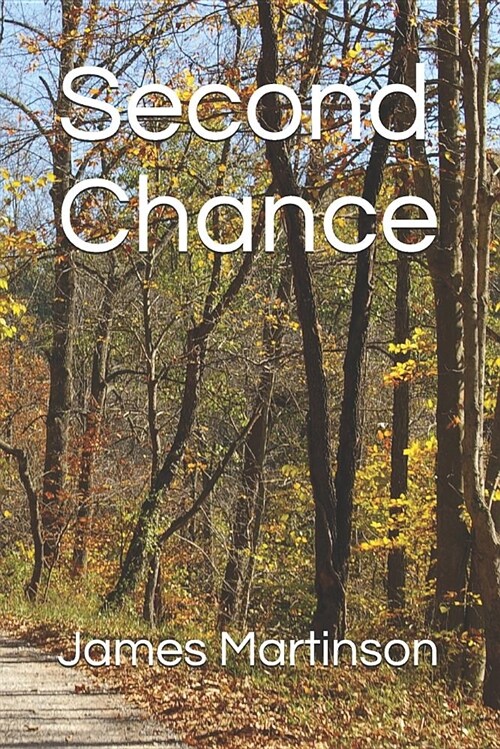 Second Chance (Paperback)