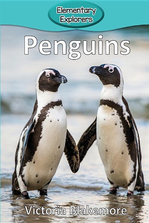 Penguins (Paperback)