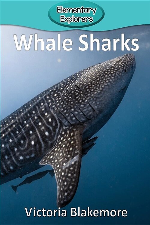 Whale Sharks (Paperback)