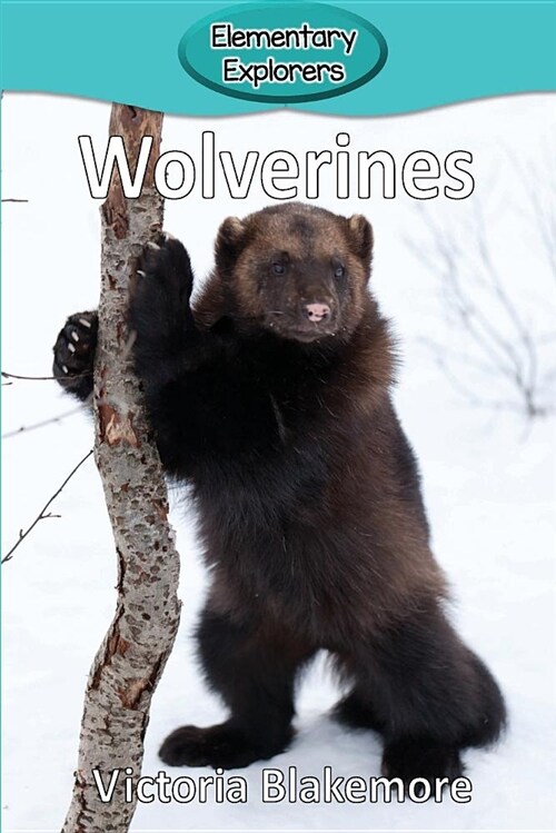 Wolverines (Paperback)