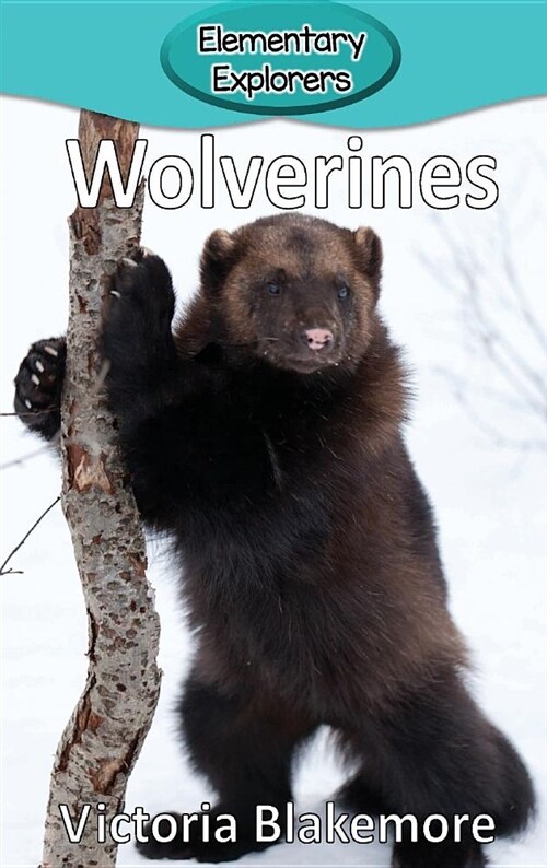 Wolverines (Hardcover)