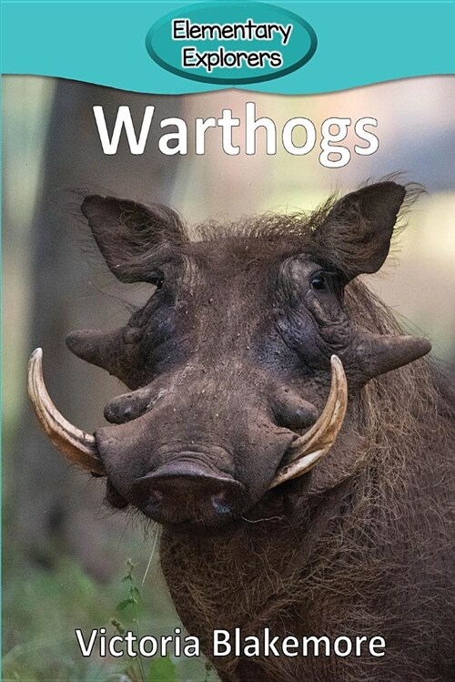 Warthogs (Paperback)