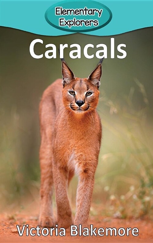 Caracals (Hardcover)