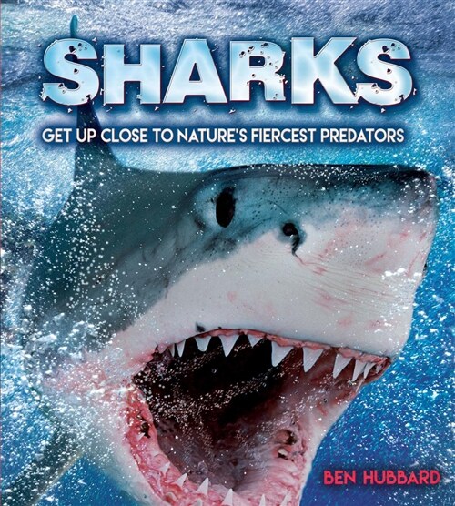 Sharks : Get Up Close to Natures Fiercest Predators (Paperback)
