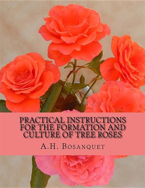 Practical Instructions for the Formation and Culture of Tree Roses (Paperback)