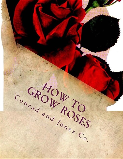 How to Grow Roses: Dedicated to the Flower Loving People of America (Paperback)