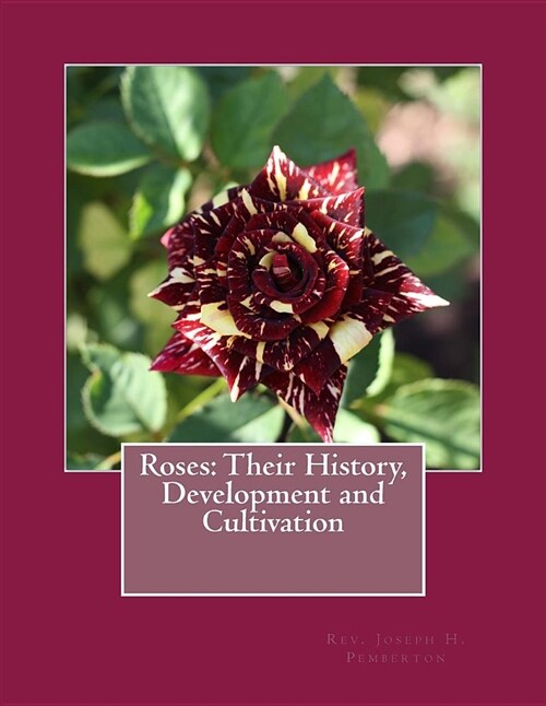 Roses: Their History, Development and Cultivation (Paperback)