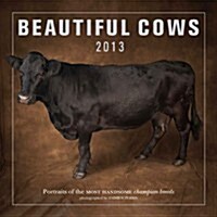 Beautiful Cows 2013 (Paperback)