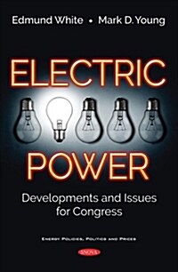 Electric Power (Paperback)