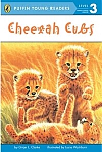 Cheetah Cubs (Paperback)