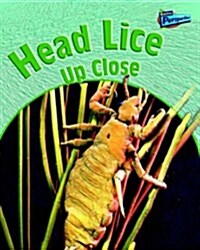 Head Lice Up-close (Paperback)