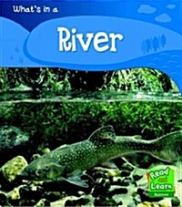 Whats is a River? (Paperback)