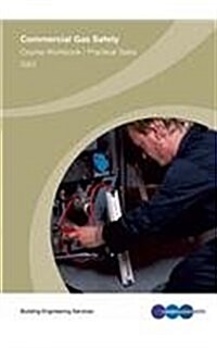 Commercial Gas Safety (Paperback)